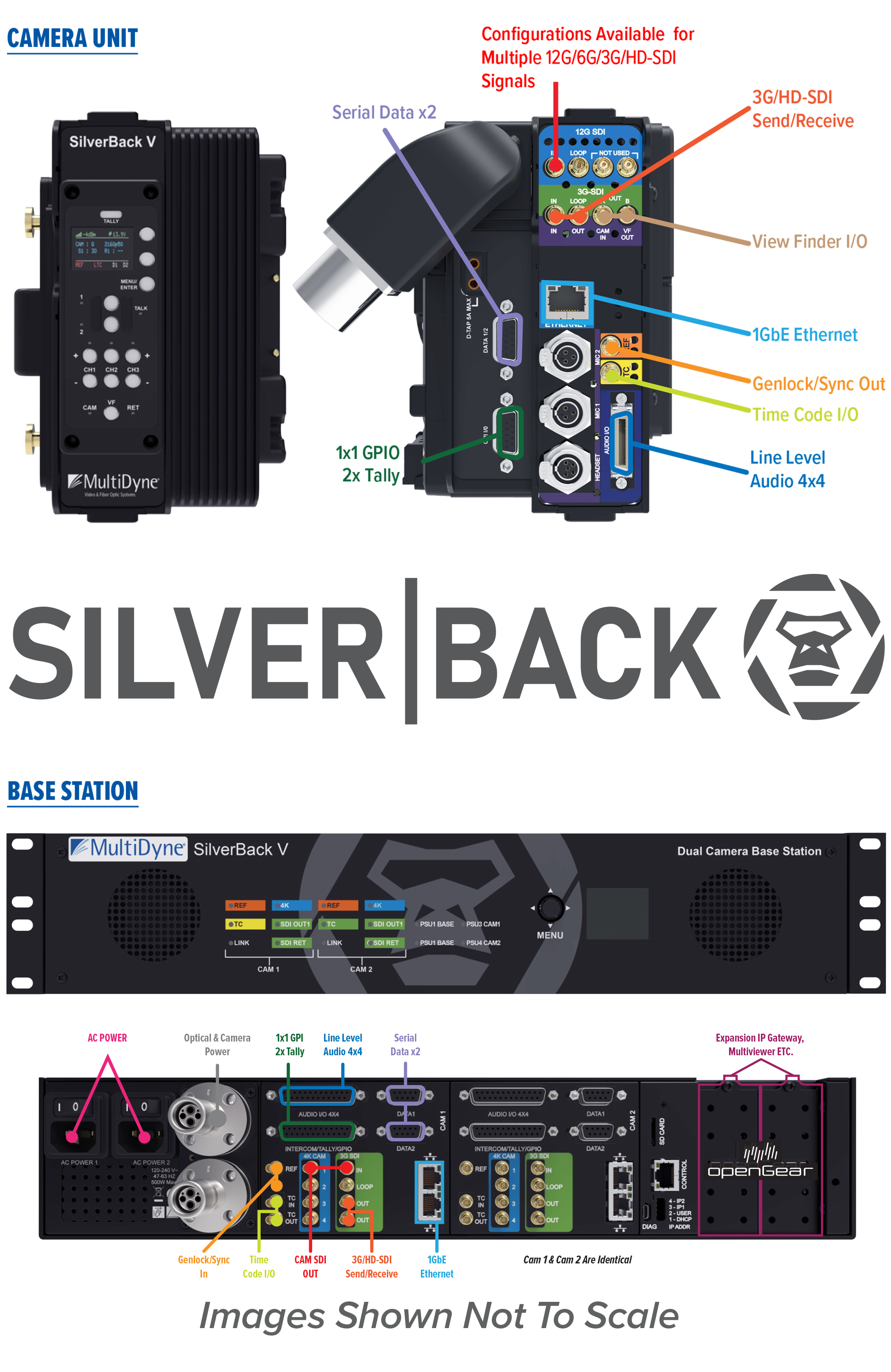 SilverBack V