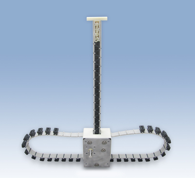 RigiBelt