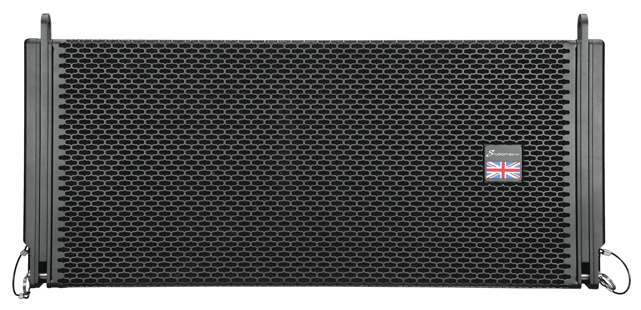 V310