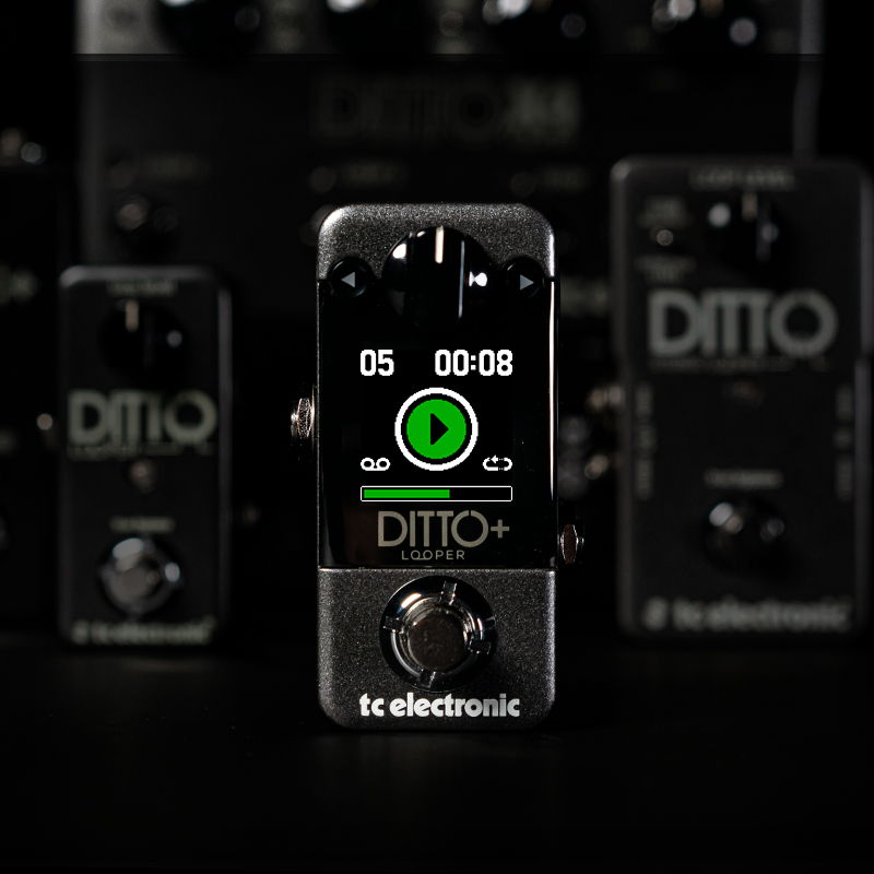 Ditto+ Looper